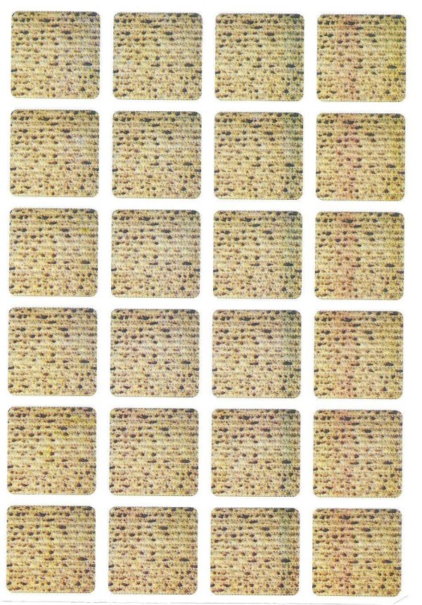 מדבקות מצות מרובעות
